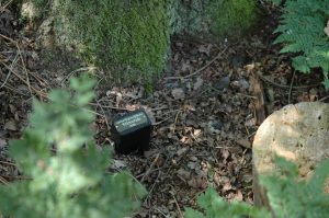 grafmarkering-natuurbegraafplaats-weverslo